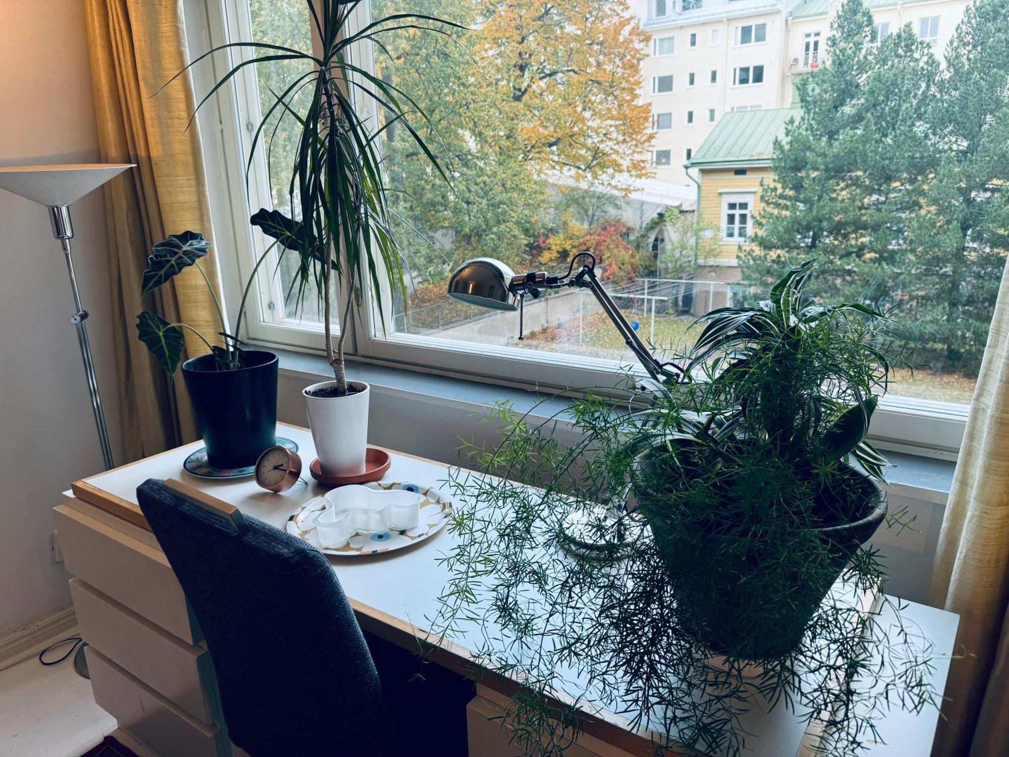 Lovely Apartment, Vuorimiehenkatu 31 Helsinki Eksteriør billede